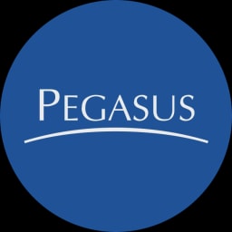 Grupo Pegasus logo