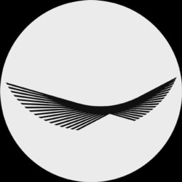 iAngels logo