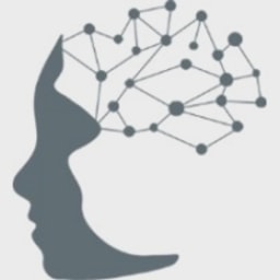 ID Theory logo