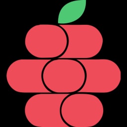 Ida logo
