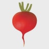 Ideagarden logo