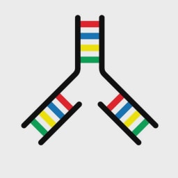 IndieBio Batch 2026 logo