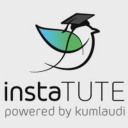 Instatute logo
