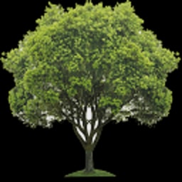 Joles logo