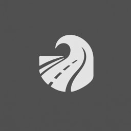Lanesurf logo