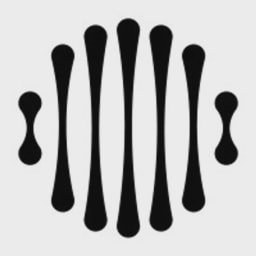 Liquid Sun logo