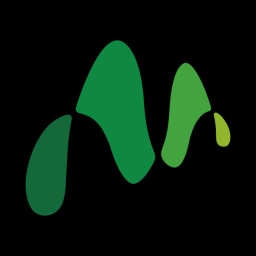 MAGNOTHERM logo