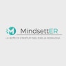 MindsettER logo