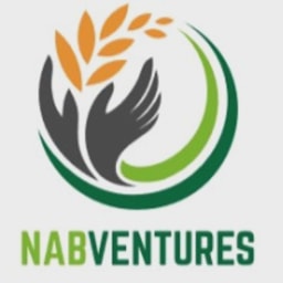 NABVENTURES logo