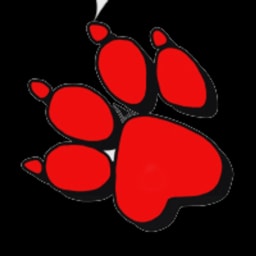 Naughty Dog logo