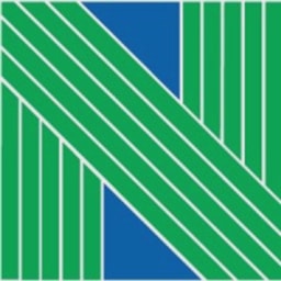 Nelson logo