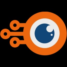 Netrasemi logo