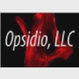 Opsidio, LLC logo