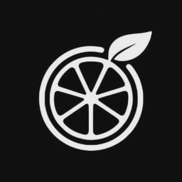 Orange Slice logo