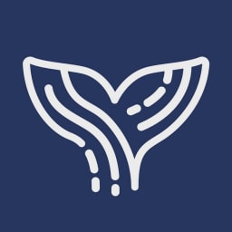 Orca AI logo