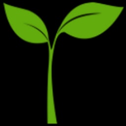 Orthopedic VC logo