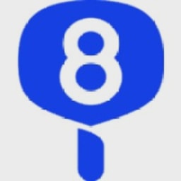 Paddle8 logo