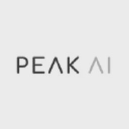 PEAK AI logo