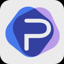 Periculum logo
