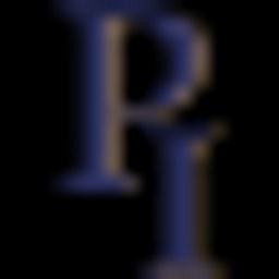 PI Partners logo
