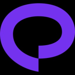 Praktika logo