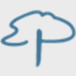 PTI Ventures logo