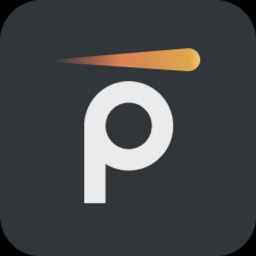 Pynt logo