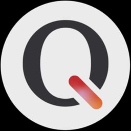 Qvin logo