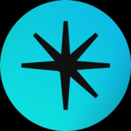 Radius.xyz logo
