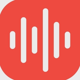 RIVS logo