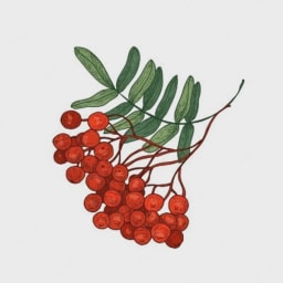 Rowan logo
