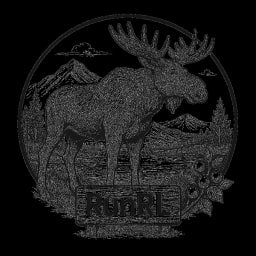 RunRL logo