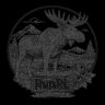 RunRL logo