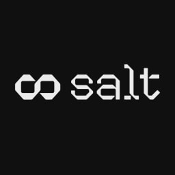 Salt AI logo