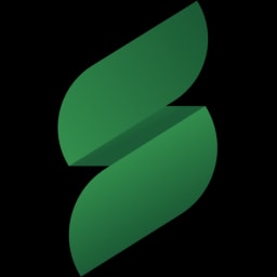 Salt Ventures logo