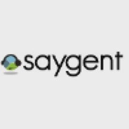 Saygent logo