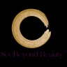 SeeBeyond logo