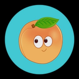 Shoonya logo
