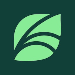 Spring Health logo