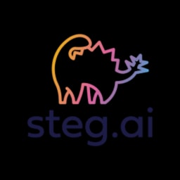 Steg AI logo