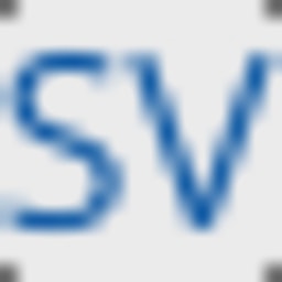 SWaN Ventures logo