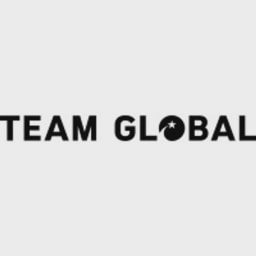 Team Global logo