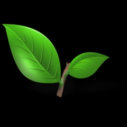 Teforia logo