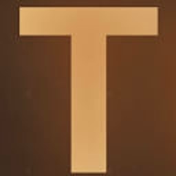 Terranox AI logo