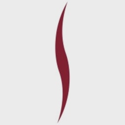 TPG/Satya logo