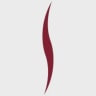 TPG/Satya logo
