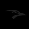 Two Ravens VC logo