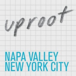 Uproot Wines logo