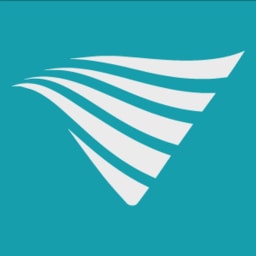 V-Wave logo