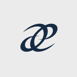Vaeridion logo